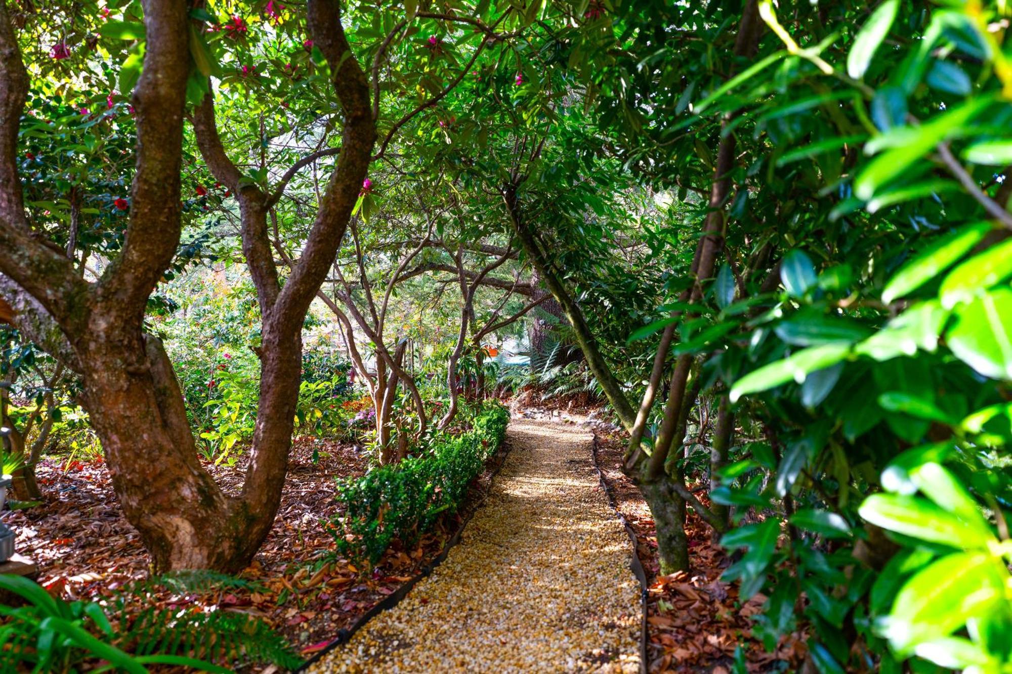 Kubba Roonga Guesthouse - Boutique Luxury Spa Retreat & Gardens - Blue Mountains Blackheath Exterior photo