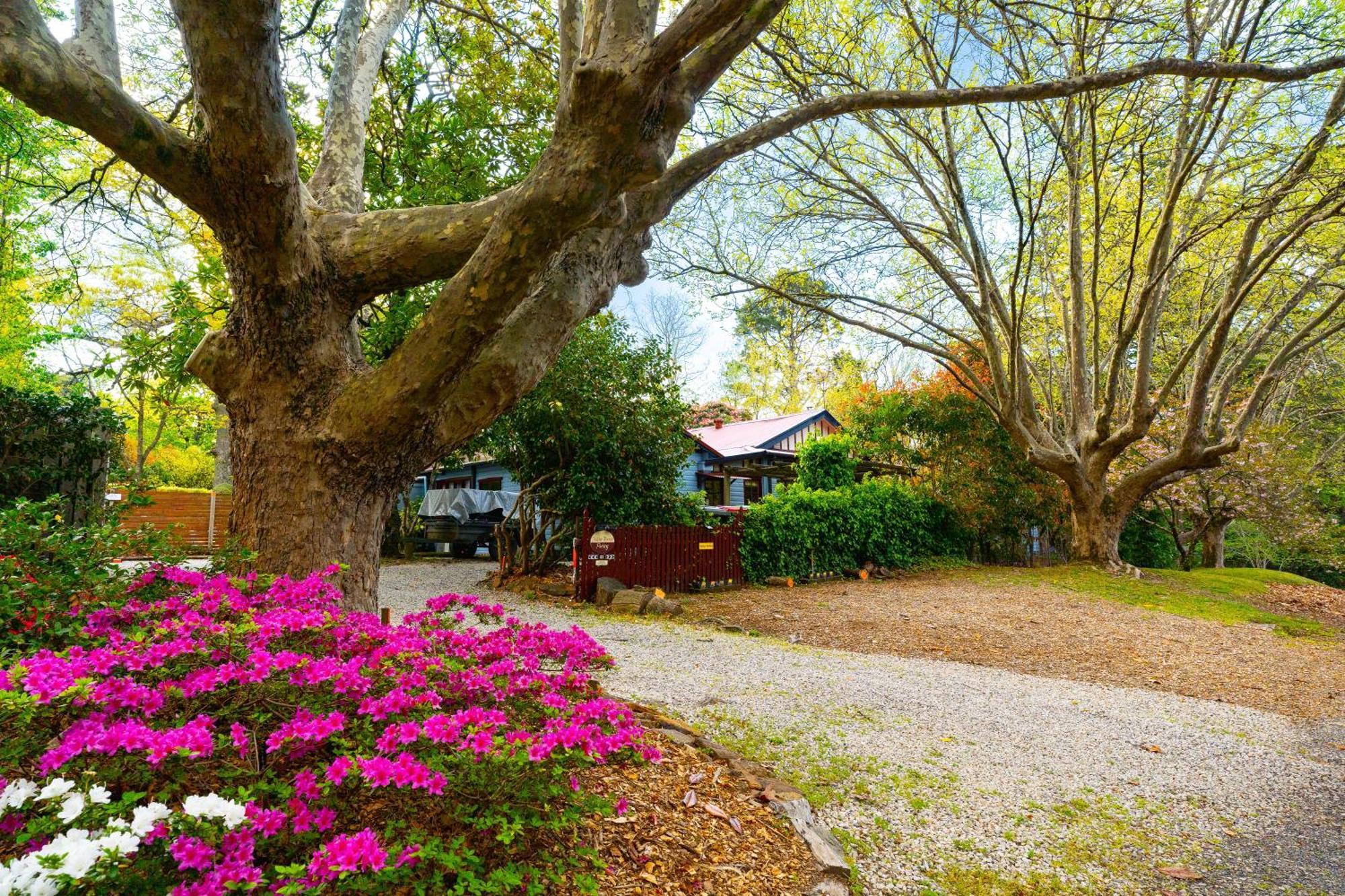 Kubba Roonga Guesthouse - Boutique Luxury Spa Retreat & Gardens - Blue Mountains Blackheath Exterior photo